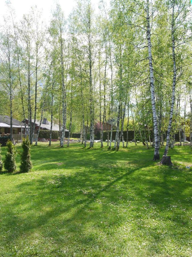 Chalet Champraz - Free Parking Chamonix Luaran gambar